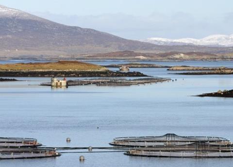 The EC has issued aquaculture guidelines to develop the sector. Credit: Marine Harvest