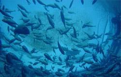 The early bird booking discount has been extended until 16 April 2010