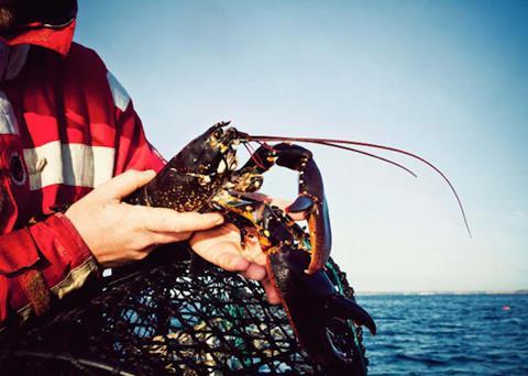 Sweden’s new lobster rules