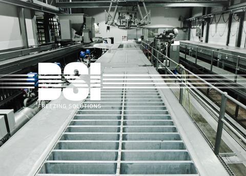 DSI Freezing Solutions