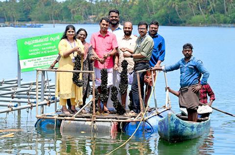 Kodungallur mussel harvest