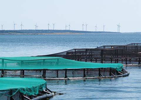 Nova Scotia will develop a regulatory framework for aquaculture. Credit: Nova Scotia Fisheries and Aquaculture.