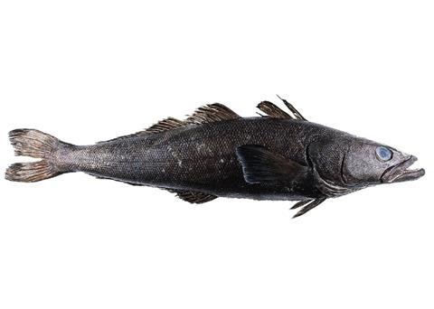A group of pirates notorious for the illegal fishing of toothfish has been halted by Operation Yuyus