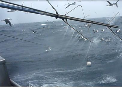 A water sprayer in action in the South East Trawl fishery. Picture courtesy of the vessel Lady Miriam