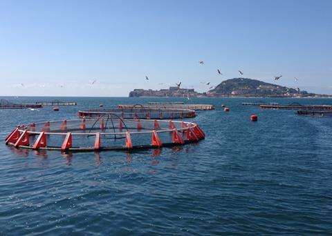 Farmed fish and shellfish production is set to soar