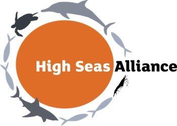The High Seas Alliance will attend a UN conference to discuss protecting marine life
