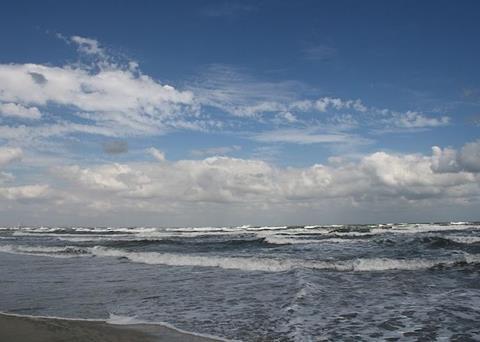 The GFCM has agreed proposals to protect fishing in the Mediterranean and Black seas Photo: Sb2s3