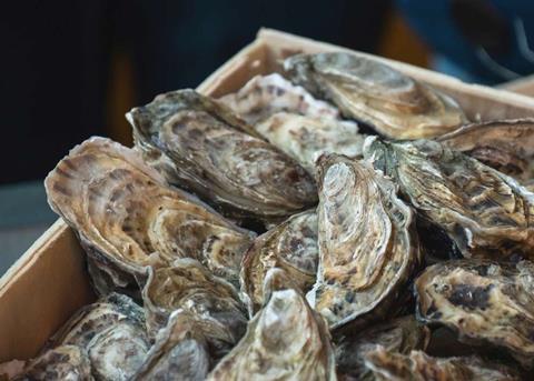 Researchers are helping shellfish growers take a proactive approach to spotting disease Photo: SAIC