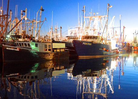 Commercial fishing vessels at Homers Wharf in the Port of New Bedford Waterfront (picture provided by Mike Estabrook)