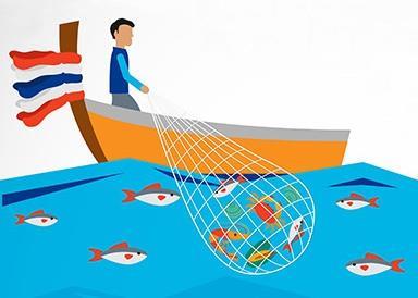 99% of the ingredients that Nestlé sources from its seafood supply chain in Thailand are now traceable