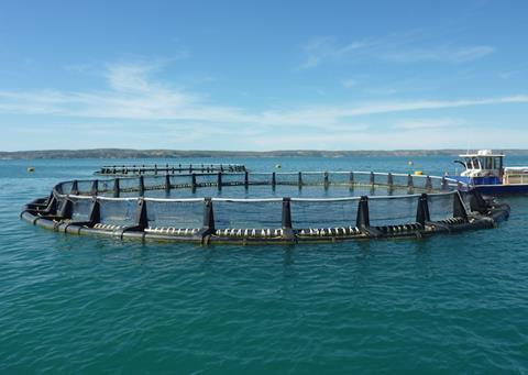 BMT will deliver a state-of-the-art EIA approach to assess the potential impacts of sea cage operations