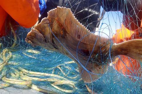 Biogarn.hirtshals-havn