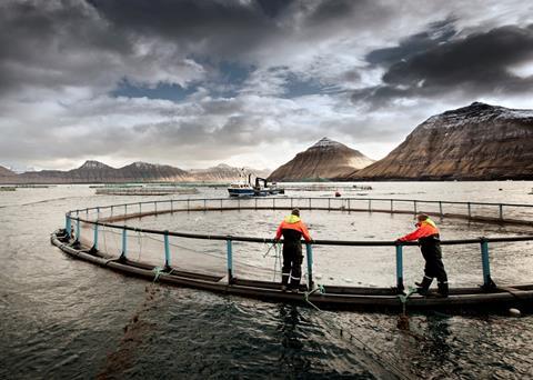 The demand for Faroese salmon is huge. Credit: www.bakkafrost.fo