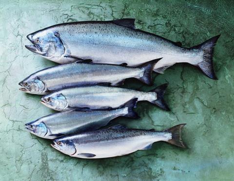 Alaska salmon