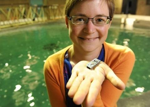 Franziska Broell holds one of the accelerometer tags that she developed with Andre Bezanson. Credit: Danny Abriel