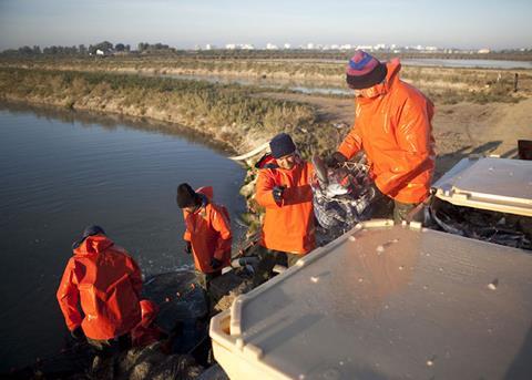 Results of a study into carrying capacity have been released Photo: CTAQUA