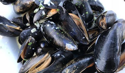 Mussels
