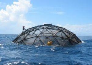 Fish farming companies in Turkey and from around the world will attend the Offshore Mariculture Conference 2012