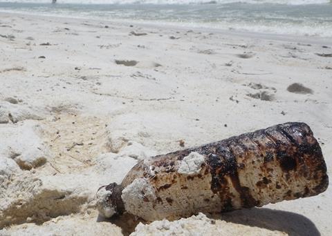 OSPAR's Action Plan will tackle marine litter in the North-East Atlantic. Photo: Chris Pincetich/Sea Turtle Restoration Project/Marine Photobank