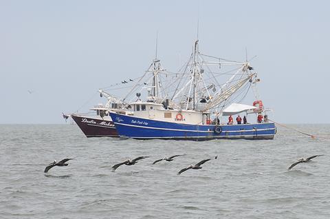 NOAA is advising fishermen not to fish in areas where there is a presence of oil.