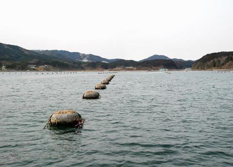 Five years after the devastating Japanese tsunami, Miyagi Prefecture Fisheries Cooperative oyster farms are celebrating ASC certification