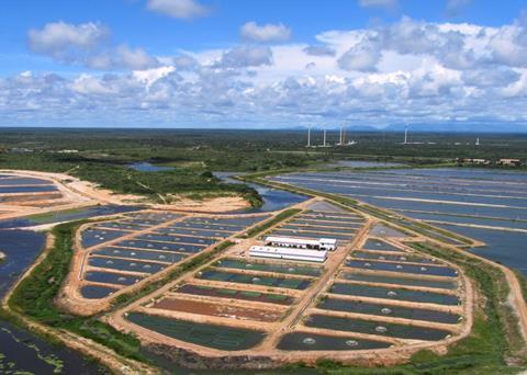 The partnership with Aquabel is an important milestone should help AquaGen extend its priority areas into the aquaculture industry