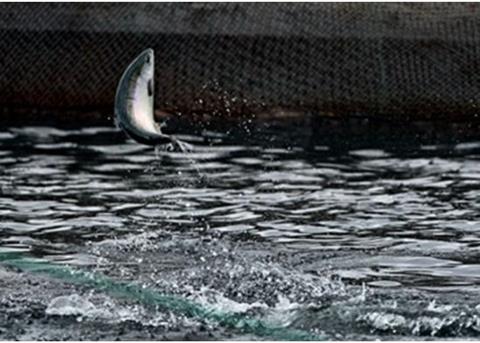 Vónin, KJ Hydraulik and JT Electric will team up for Aqua Sur