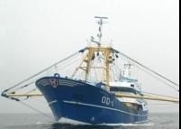 EU fishing fleet moved from an overall loss to profit. Photo: EU 2012