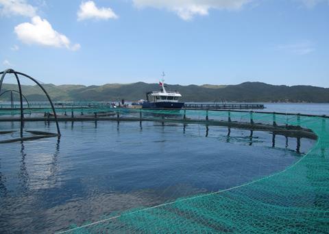 These large cages were designed and developed in Norway and are being used for rearing cobia/pompano in the sea off central Vietnam. Credit: Jorge Alarcon, Marine Farms Vietnam