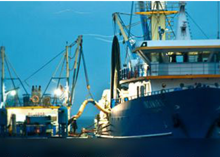 Copeinca has achieved Friend of the Sea certification for its fishmeal and fish oil