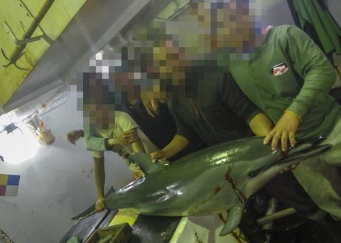 Taiwan has hit back at claims of illegal fishing made by the EJF but has agreed to launch an investigation Photo: EJF