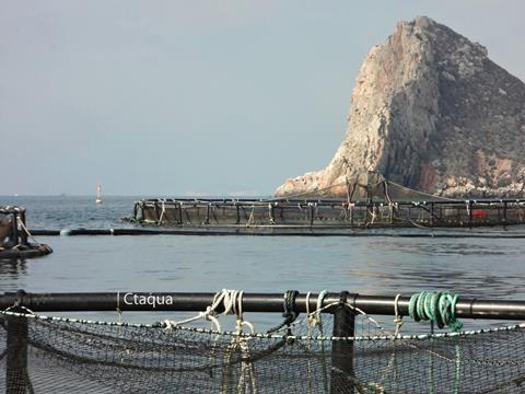 The project aims to efficiently calculate the total biomass of fish in offshore farms