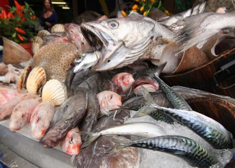 The Domestic Seafood Supply Scheme will fund projects that help the seafood industry in England