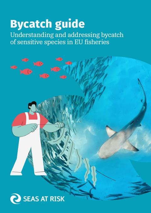 NGOs launch new guide urging EU to step up action on bycatch | News ...