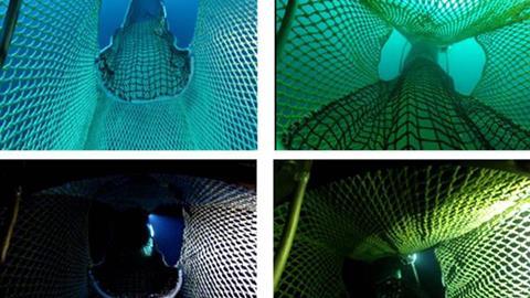 NOAA.psmfc_salmon_feature