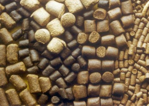 Postponing the use of specially prepared commercial fry feed for six weeks could save money