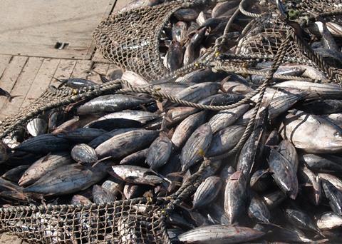 The countries have six months to resolve the identified issues. Credit: AusAID