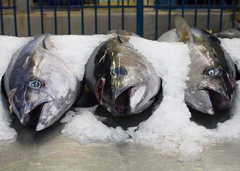 Tech benefits longliners and environment