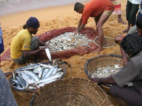 Ice plants are a critical need for Sri Lanka to develop its fishing industry.