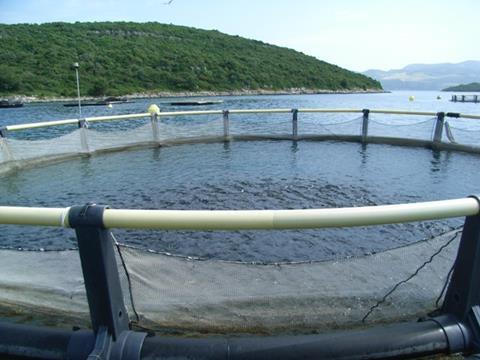 Croatia's total aquaculture production is about 12,000 tonnes per year with a value of €120 million ($146.8 million).