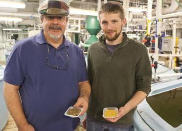 The study was led by Aaron Watson and Allen Place