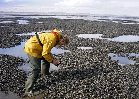 The toolbox gives access to all the information required to set up a farm in England