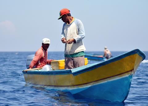 FairTrade tuna fishery gains MSC recognition
