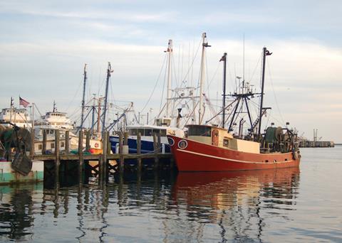 The NOAA has released two reports showing strong progress in the US fishing industry Photo: NOAA