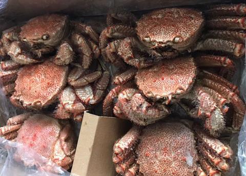 Russian Crab announces first quarter catches