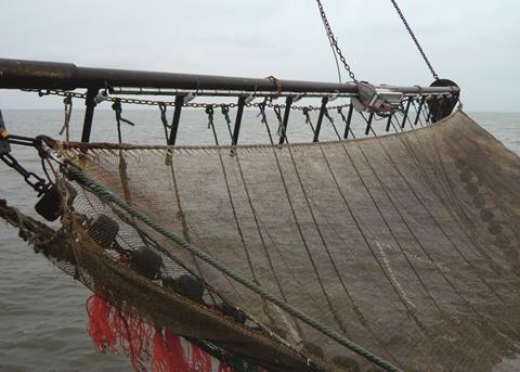 Despite a trawling ban being enforced in 2006, ecosystems in the Channel are still under threat