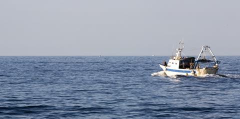 GFCM.FD-skcDXwAELELK