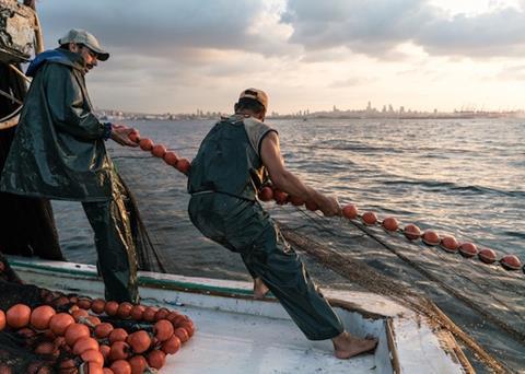 The main commercial fish species in the Mediterranean and Black Sea are still over-fished but pressure has reduced over past years Photo: FAO