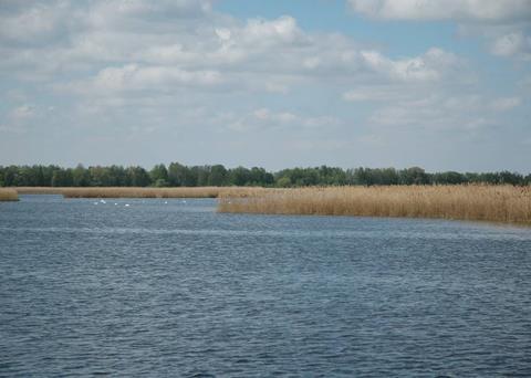 Sloneczny Górny pond/CC BY-SA 3.0