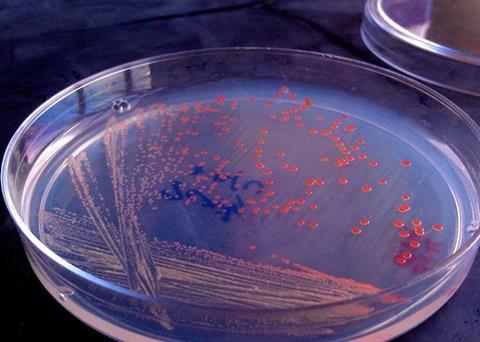 Advances in aquaculture will help meet the protein needs of a growing population Photo: KnipBio